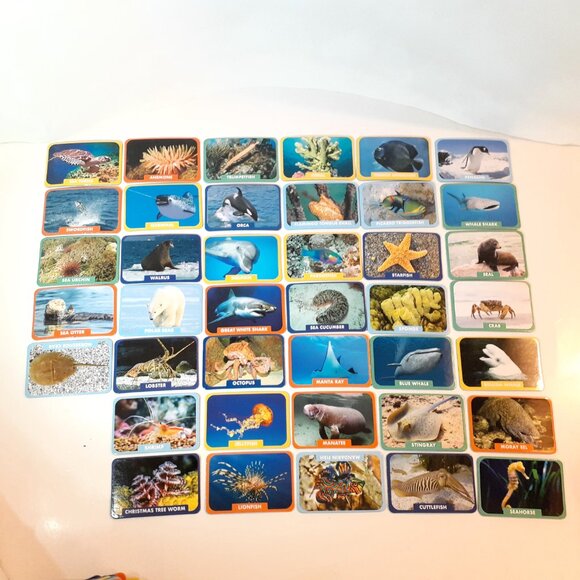 THE YOUNG SCIENTISTS CLUB - OCEANS ANIMAL GAMES - Picture 10 of 16